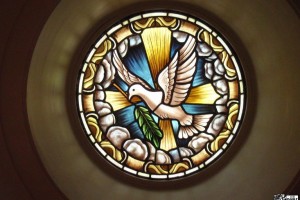Dove Round Stained Glass Window Shrine of Our Lady of Guadalupe La Crosse WI